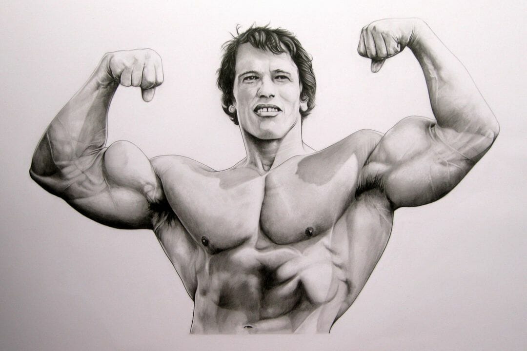 Arnold Schwarzenegger Wallpapers