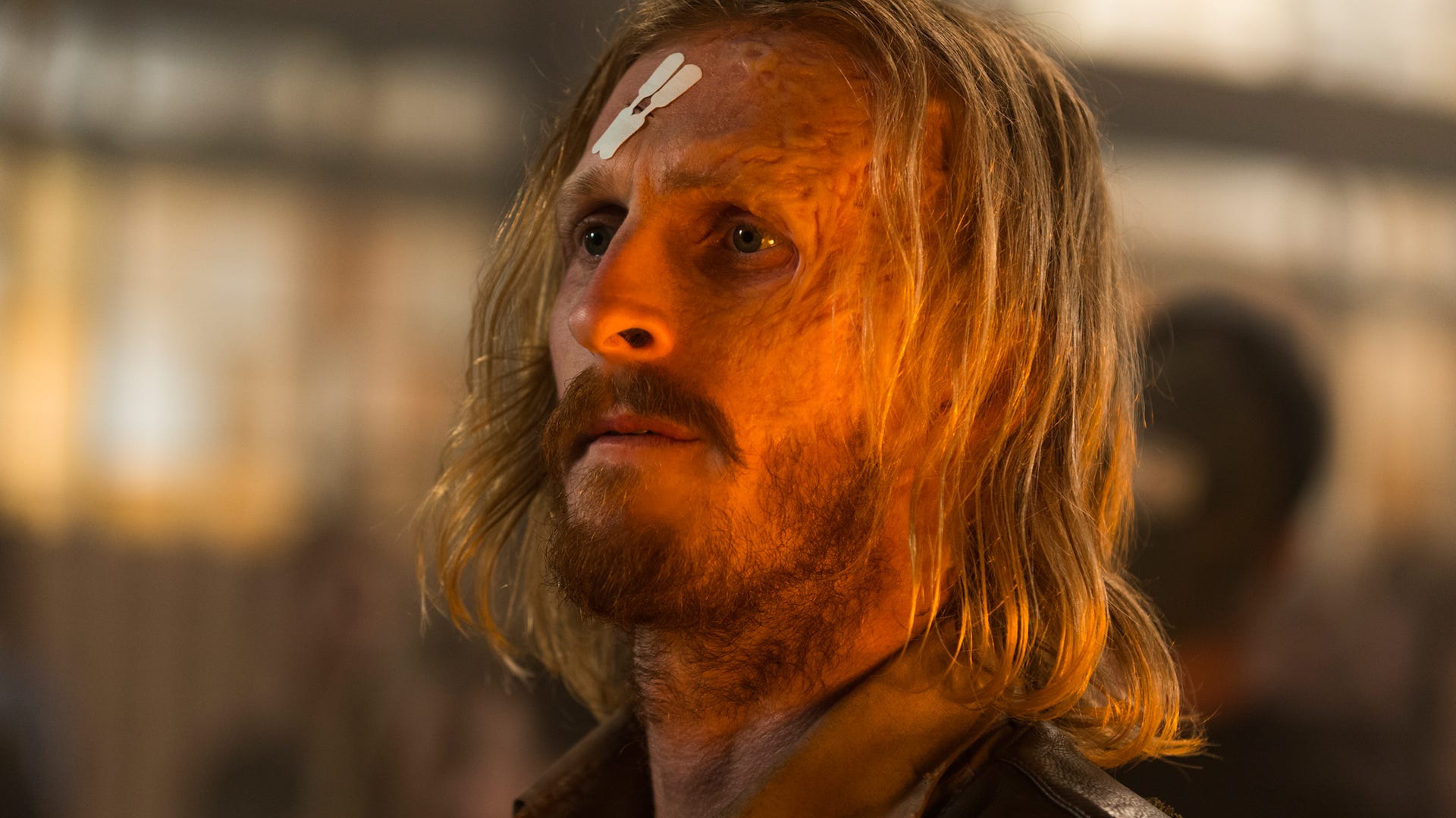 Austin Amelio Wallpapers