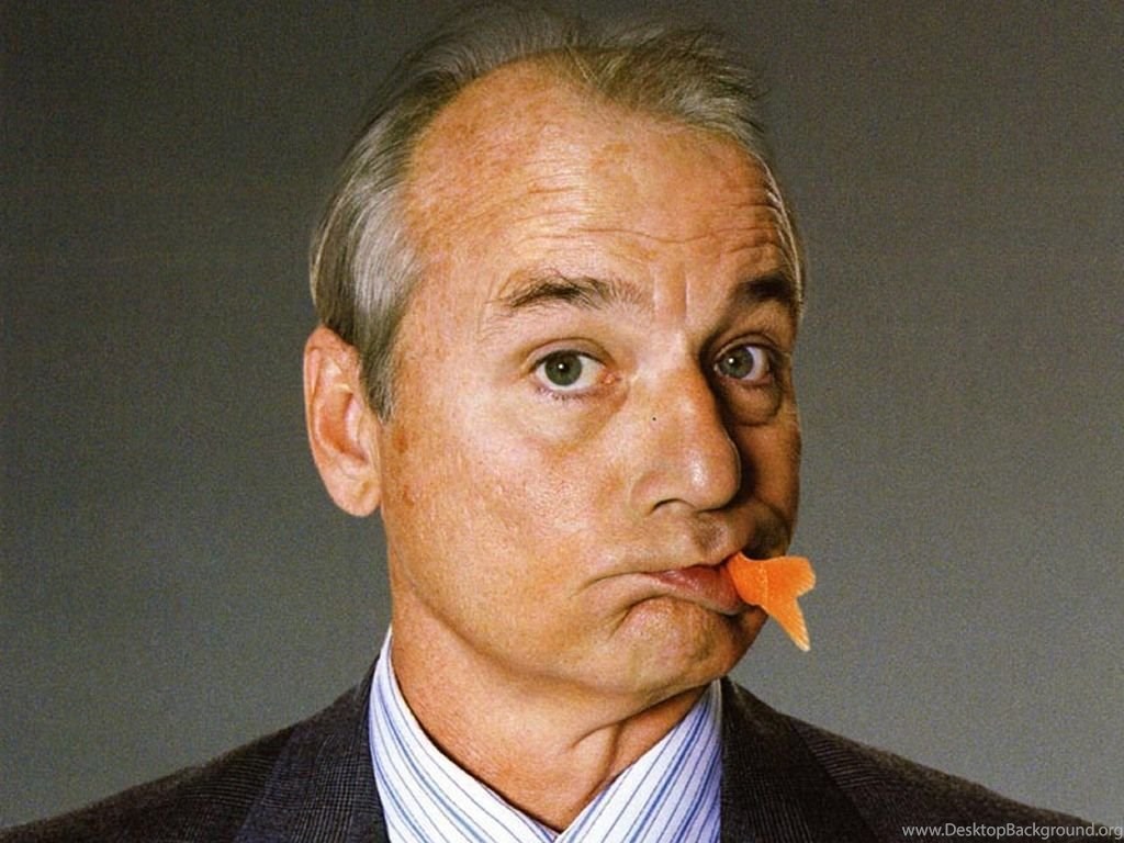 Bill Murray Wallpapers