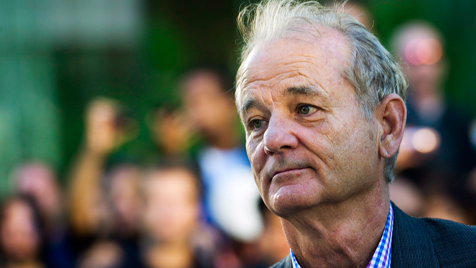 Bill Murray Wallpapers