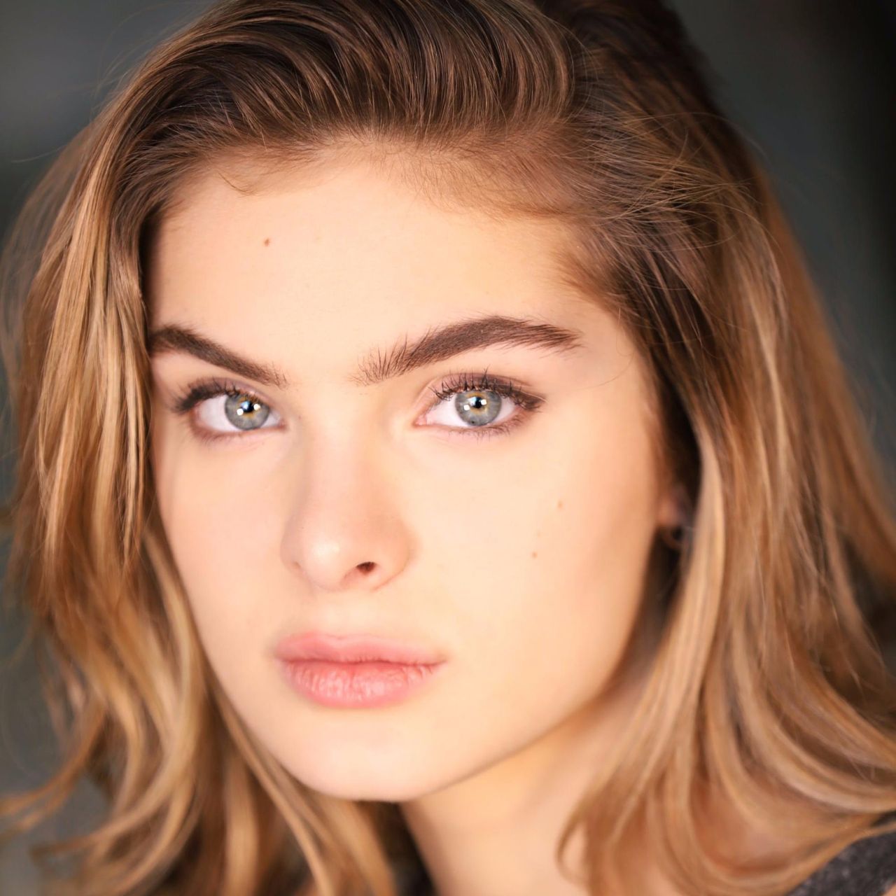 Brighton Sharbino 2020 Wallpapers