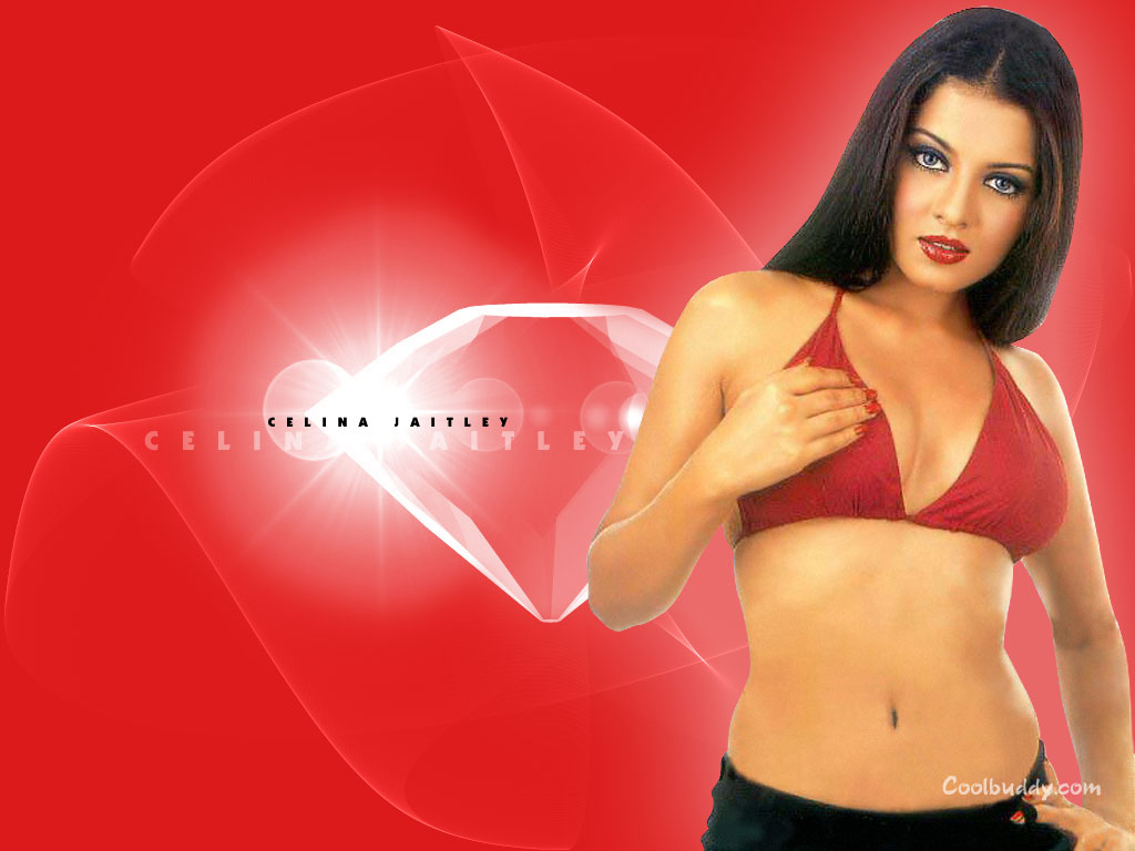 Celina Jaitley Wallpapers