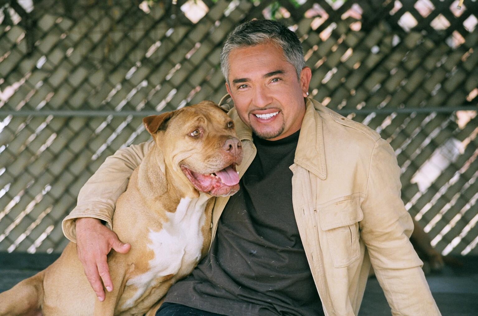 Cesar Millan Wallpapers