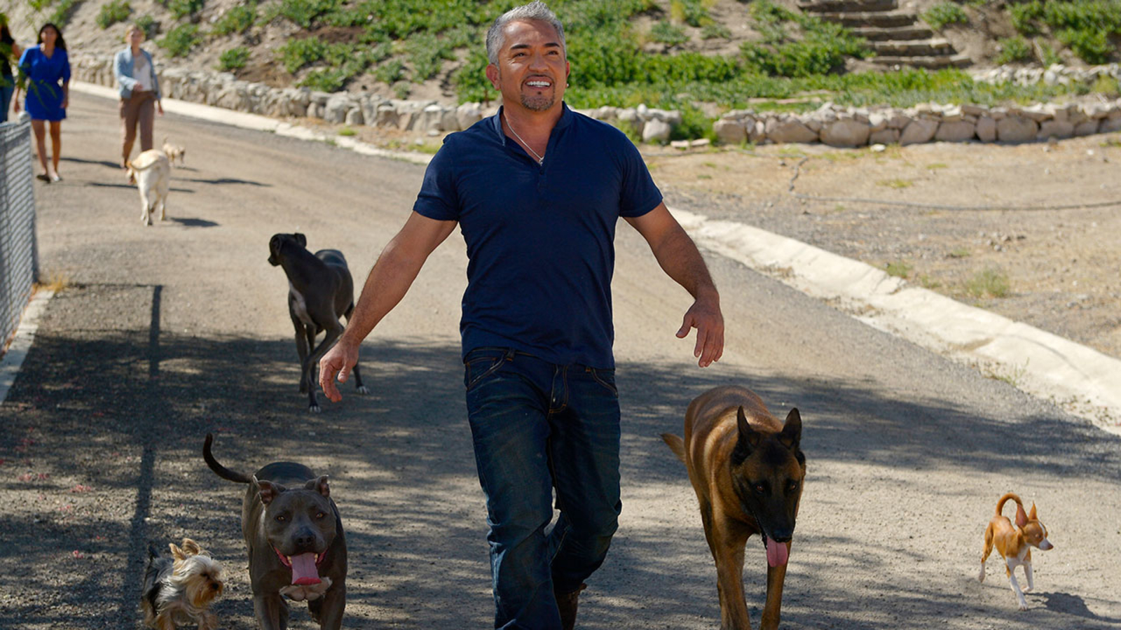 Cesar Millan Wallpapers