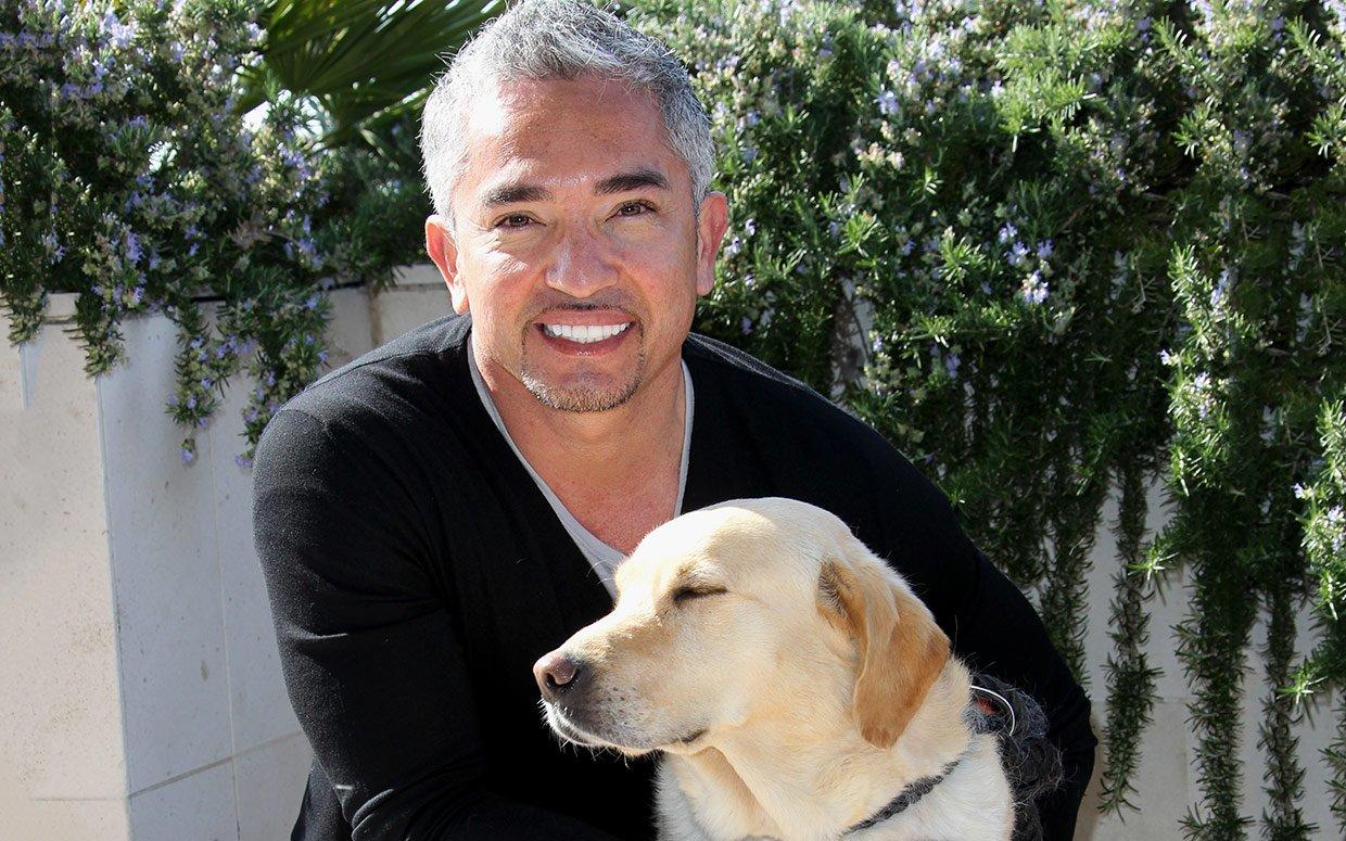 Cesar Millan Wallpapers