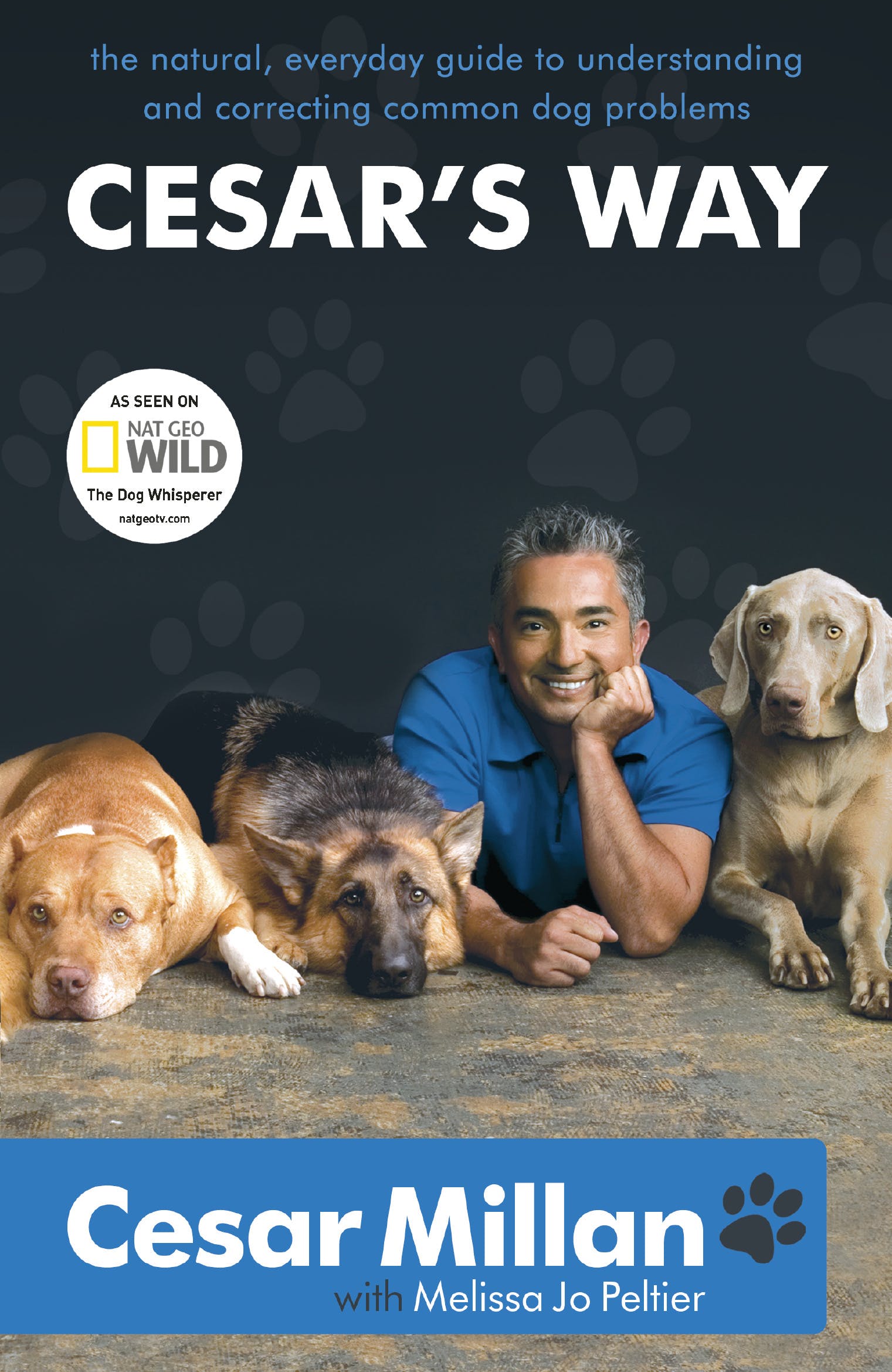 Cesar Millan Wallpapers