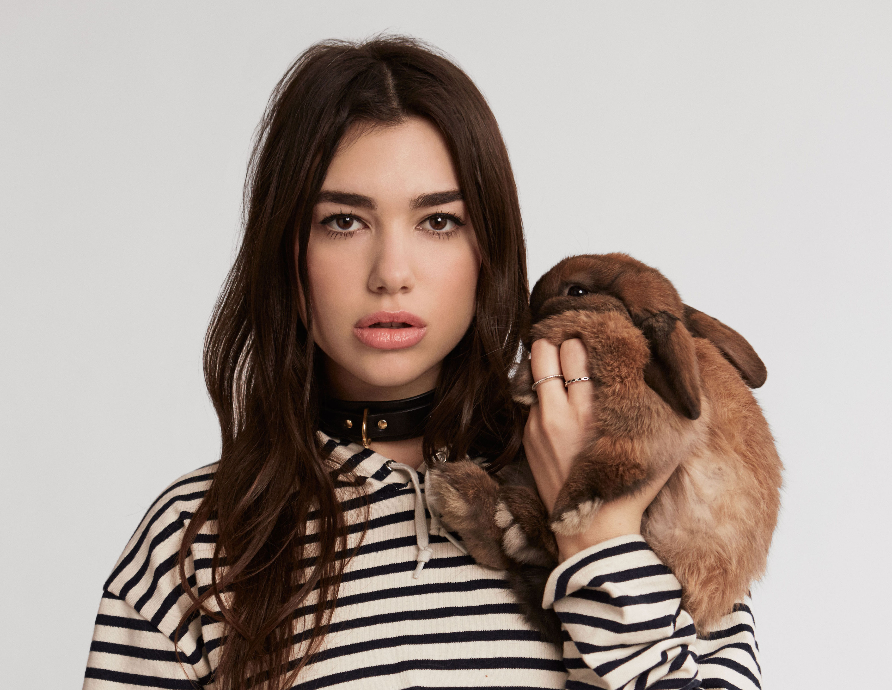 Dua Lipa image Wallpapers