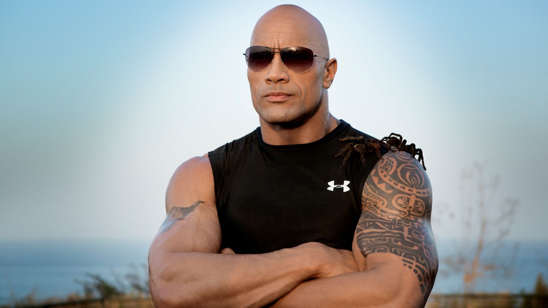 Dwayne Johnson HD Wallpapers