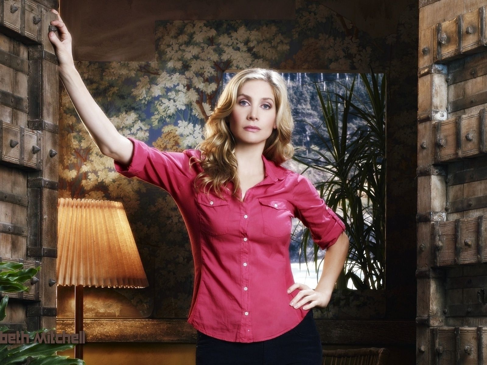 Elizabeth Mitchell Wallpapers