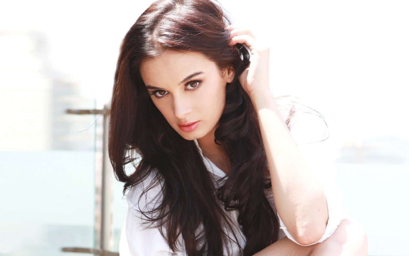 Evelyn Sharma Wallpapers