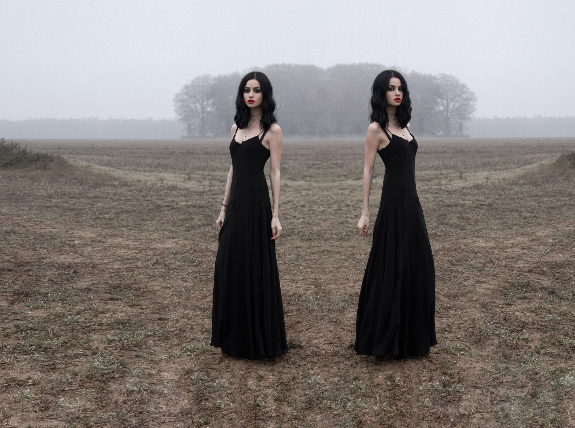 Felice Fawn Wallpapers