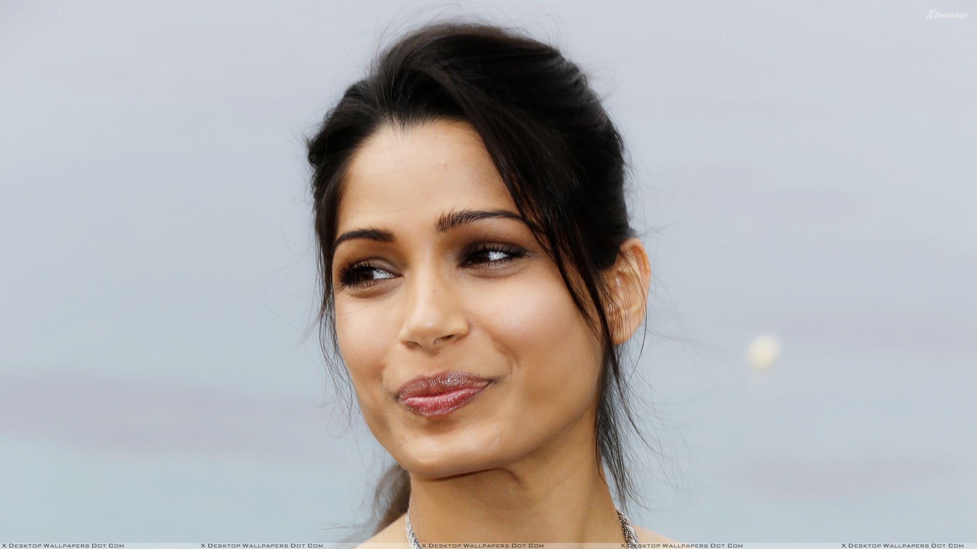 Freida Pinto 2020 Wallpapers