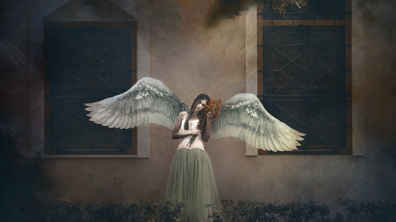 Girl With Wings Angel Wallpapers