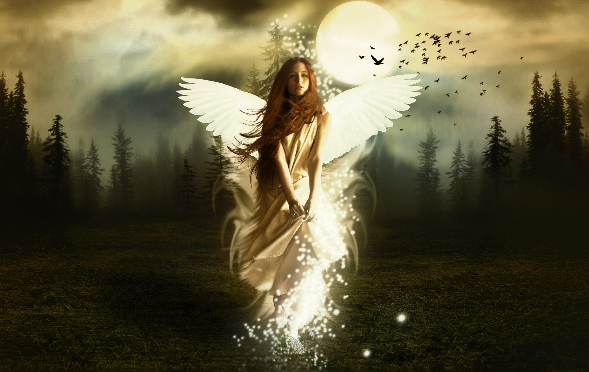 Girl With Wings Angel Wallpapers