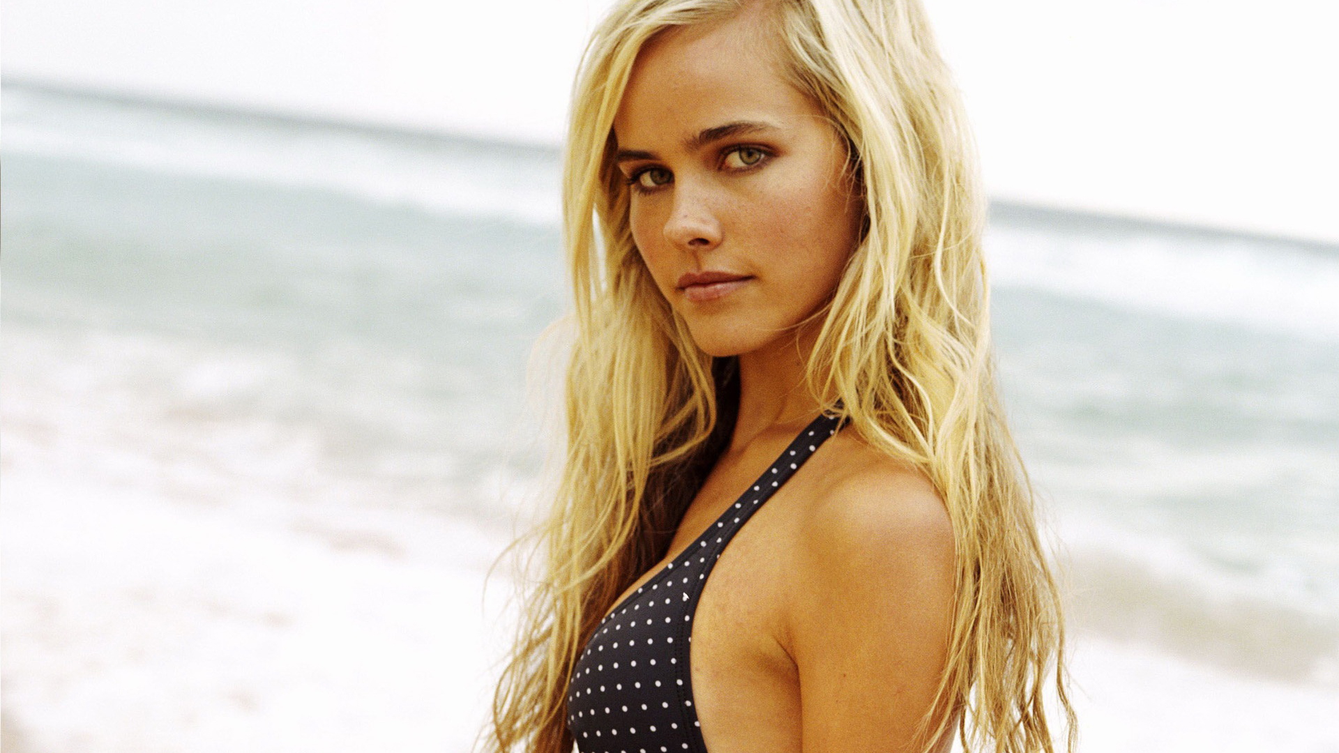 Isabel Lucas Wallpapers