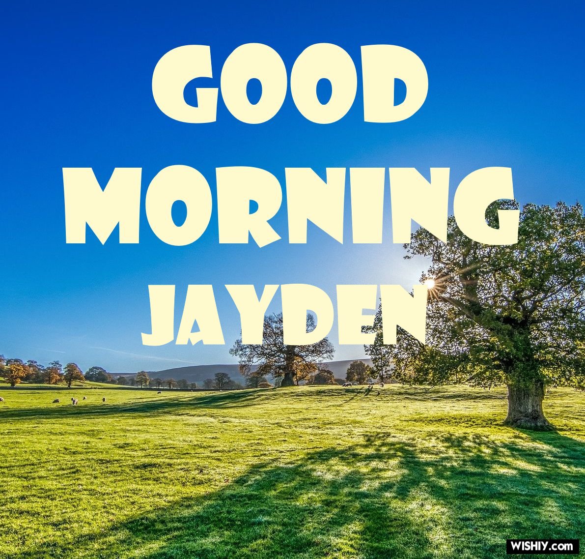 Jayden Wallpapers