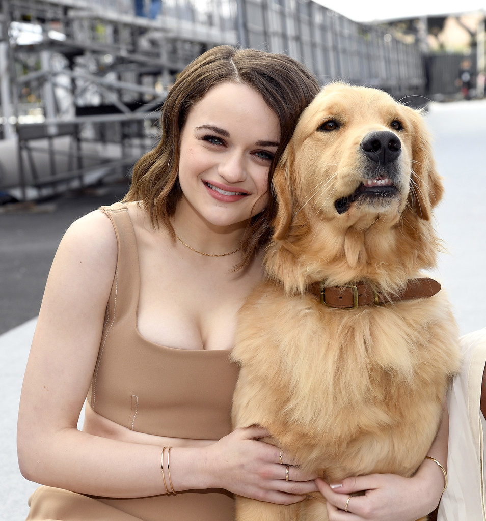 Joey King with Puppy Dog Wallpapers