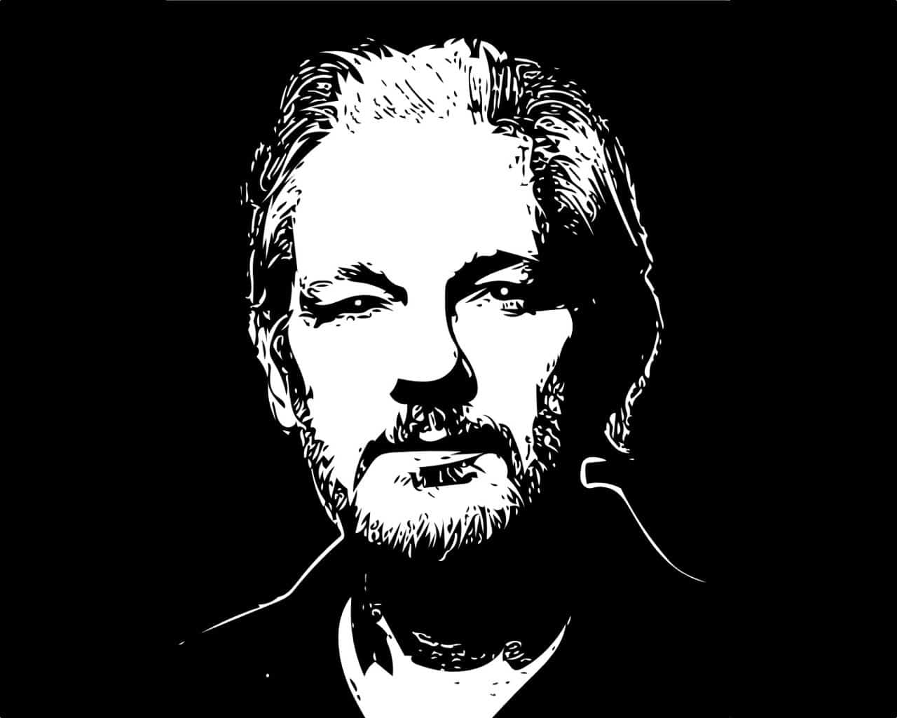 Jolia Assange Wallpapers