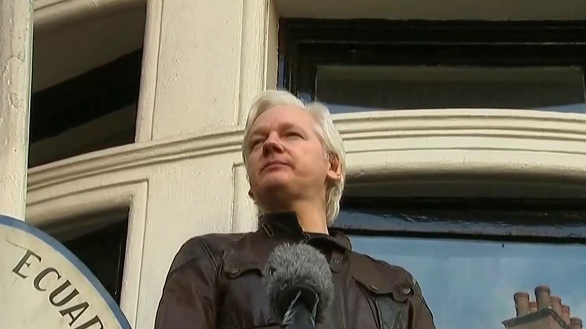 Jolia Assange Wallpapers