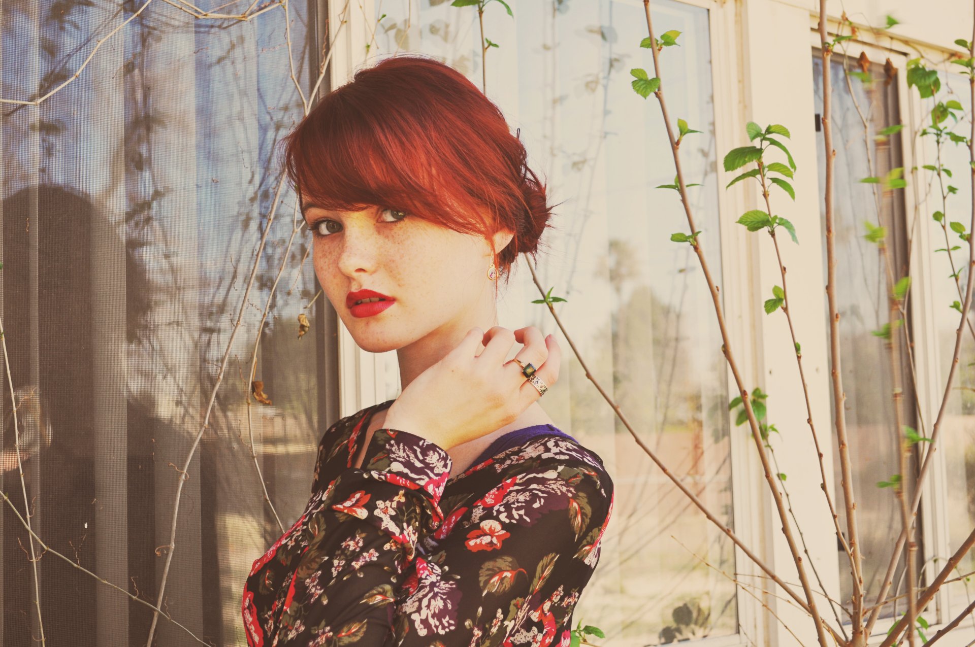 Kacy Hill Wallpapers