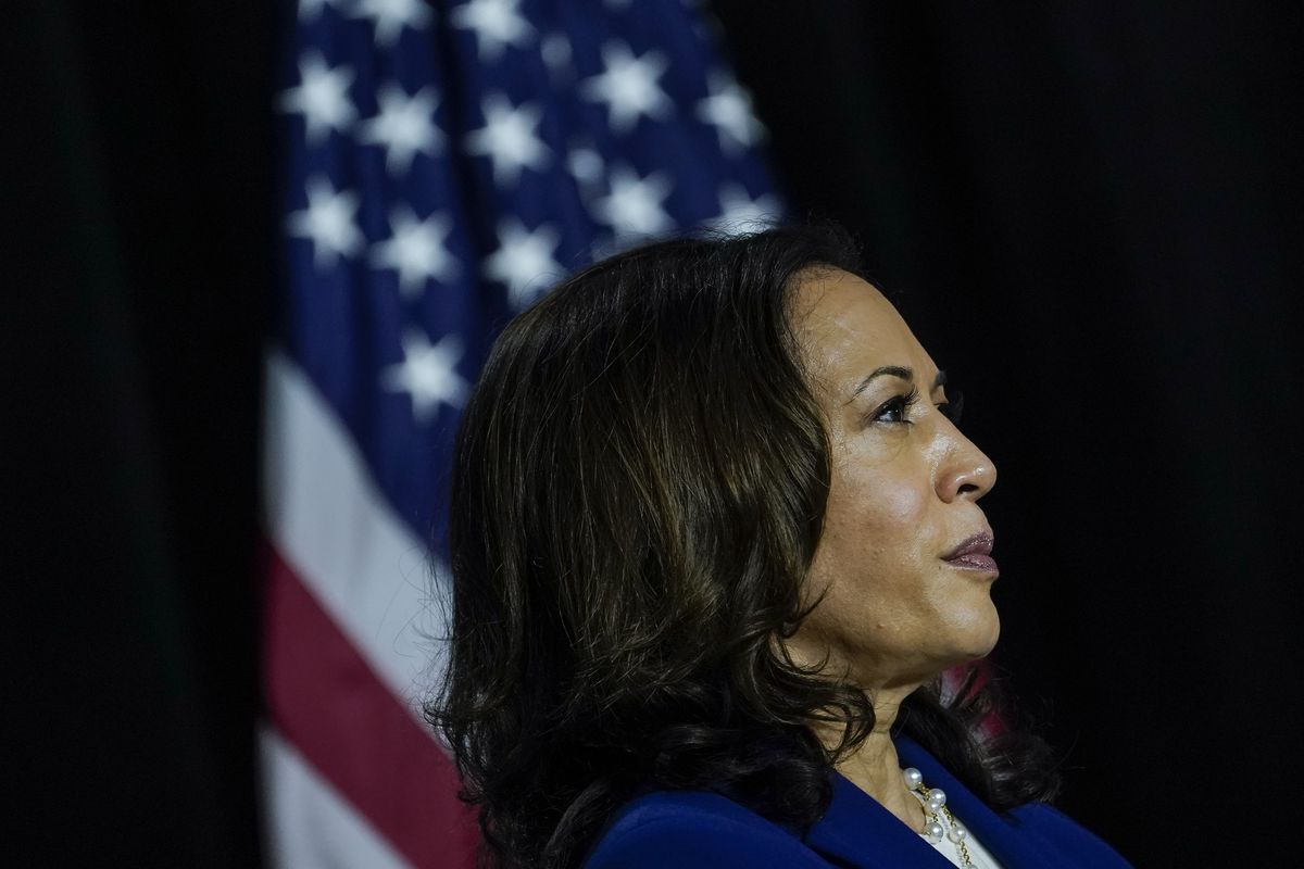 Kamala Harris 2020 Politician Wallpapers