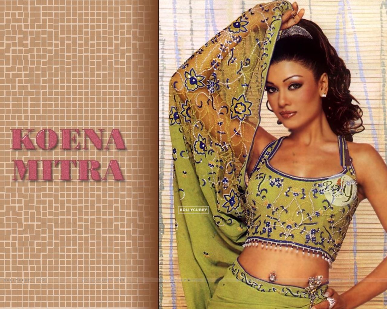 Koena Mitra Wallpapers