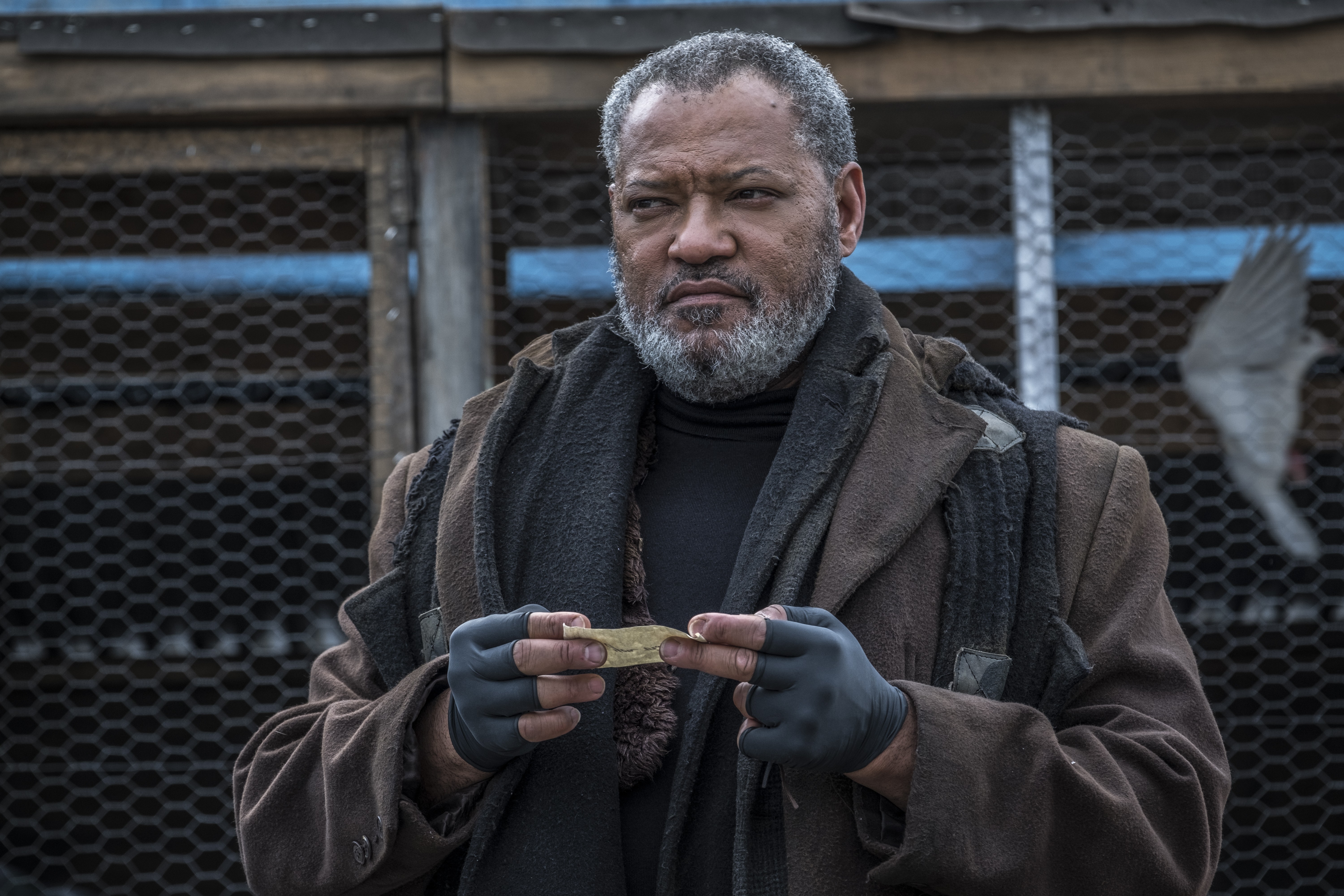 Laurence Fishburne Wallpapers