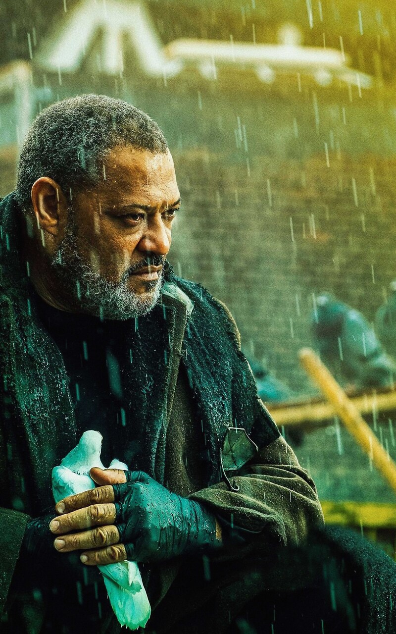 Laurence Fishburne Wallpapers