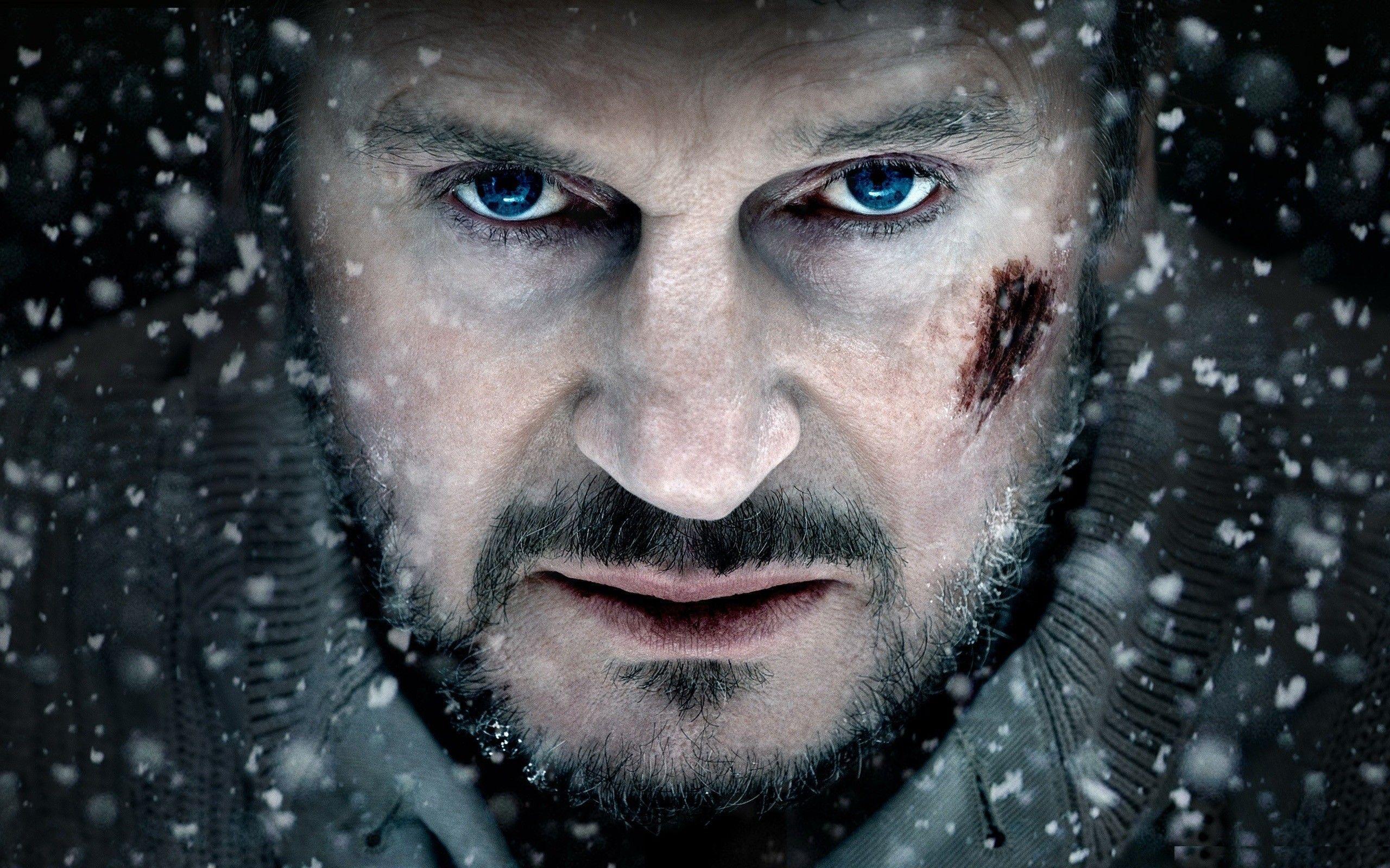 Liam Neeson Wallpapers