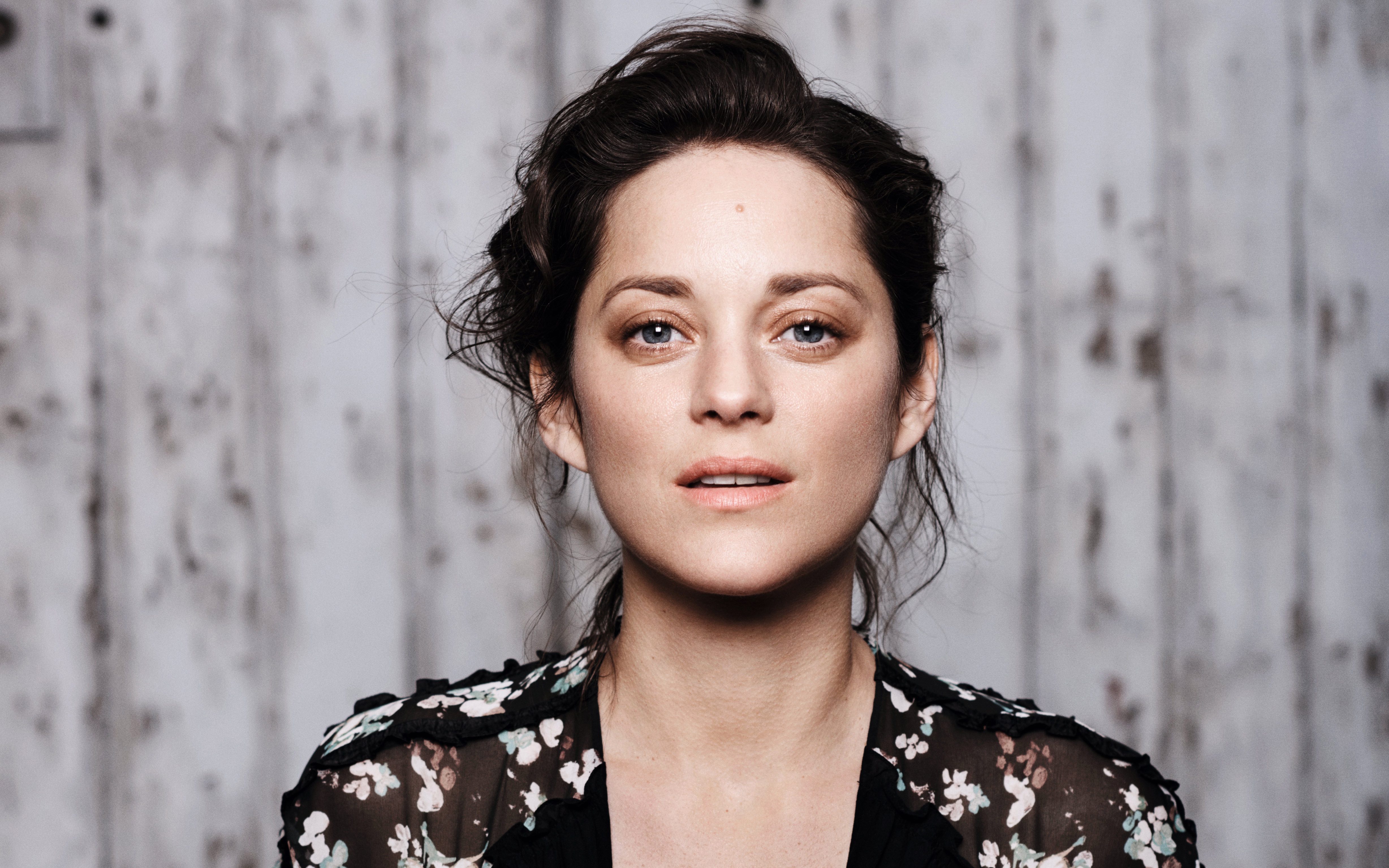 Marion Cotillard Wallpapers