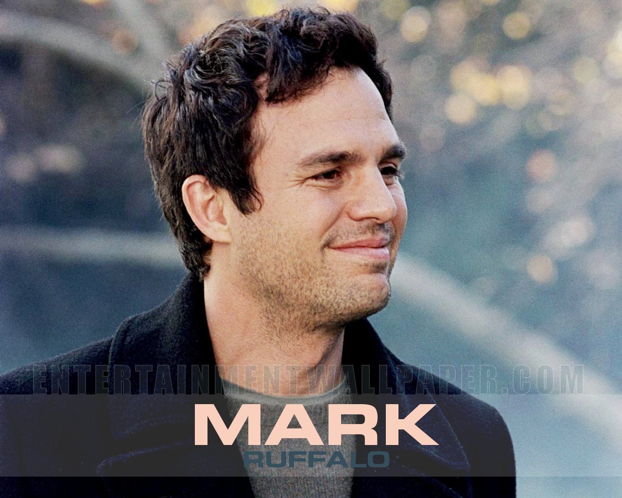 Mark Ruffalo Wallpapers