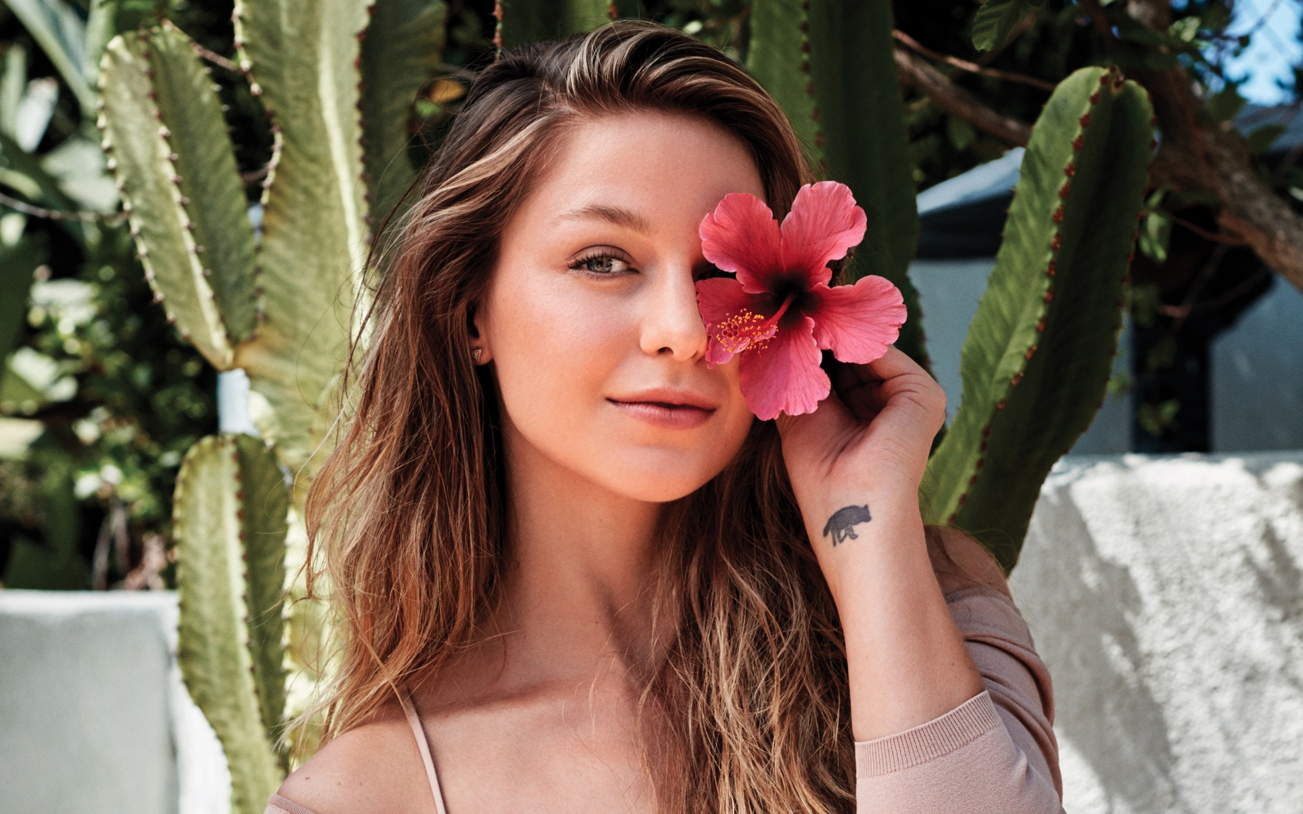 Melissa Benoist 2017 Wallpapers