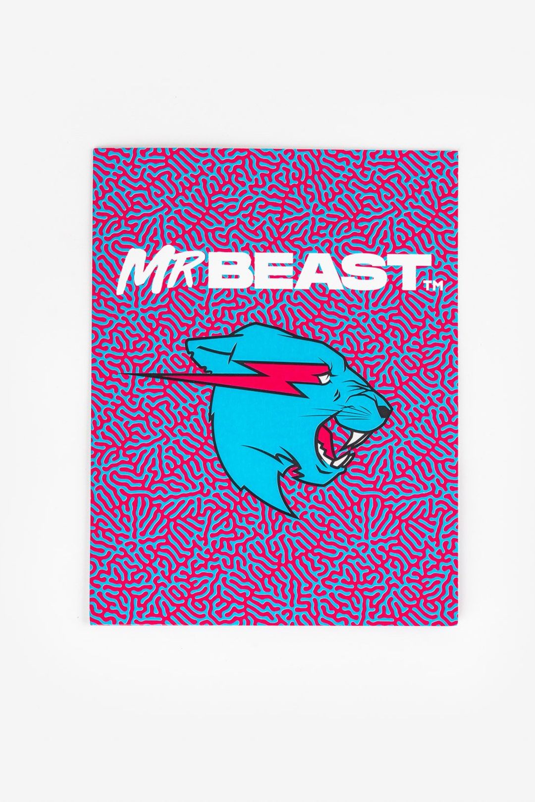 MrBeast Wallpapers