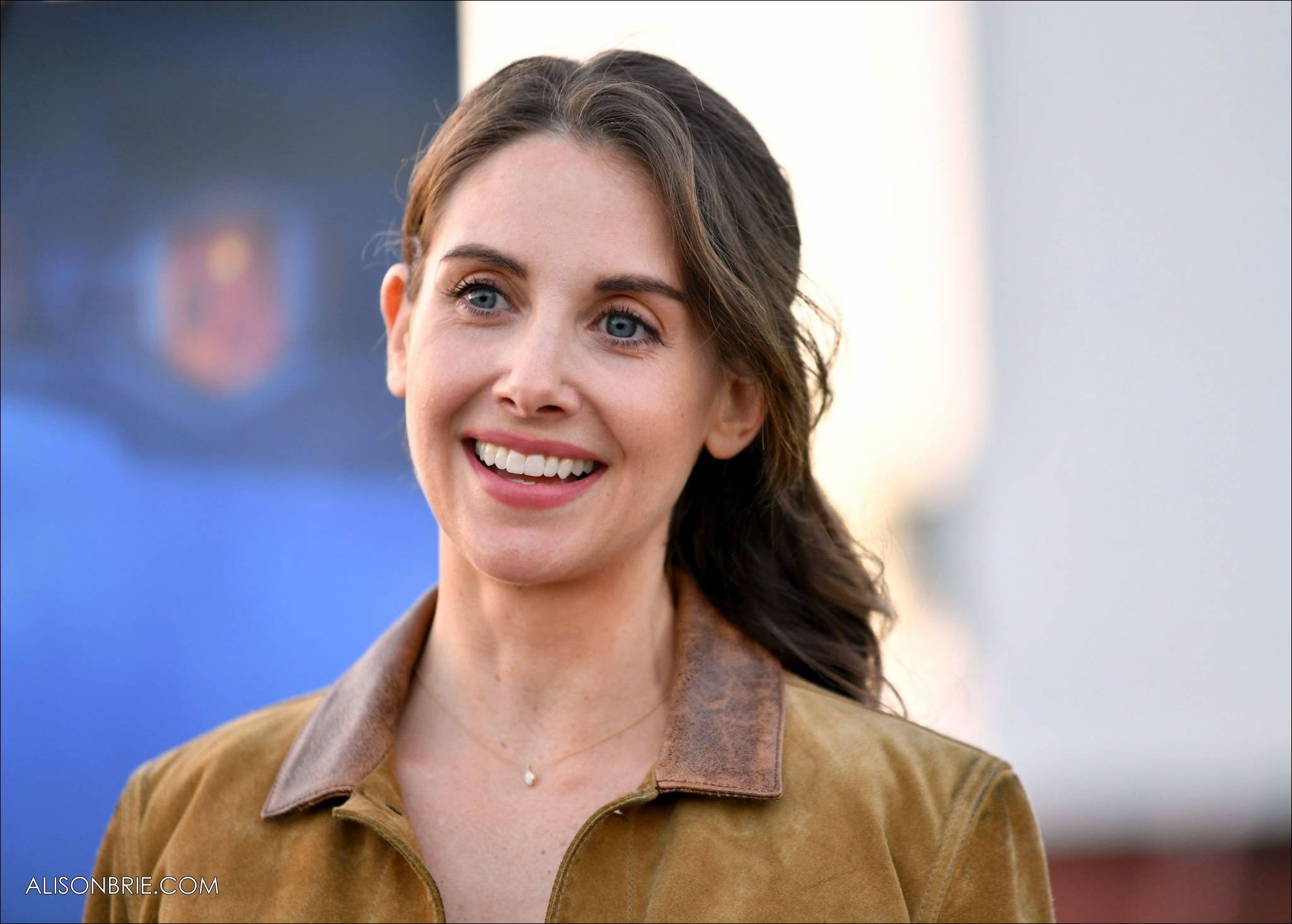 New Alison Brie 2020 Wallpapers