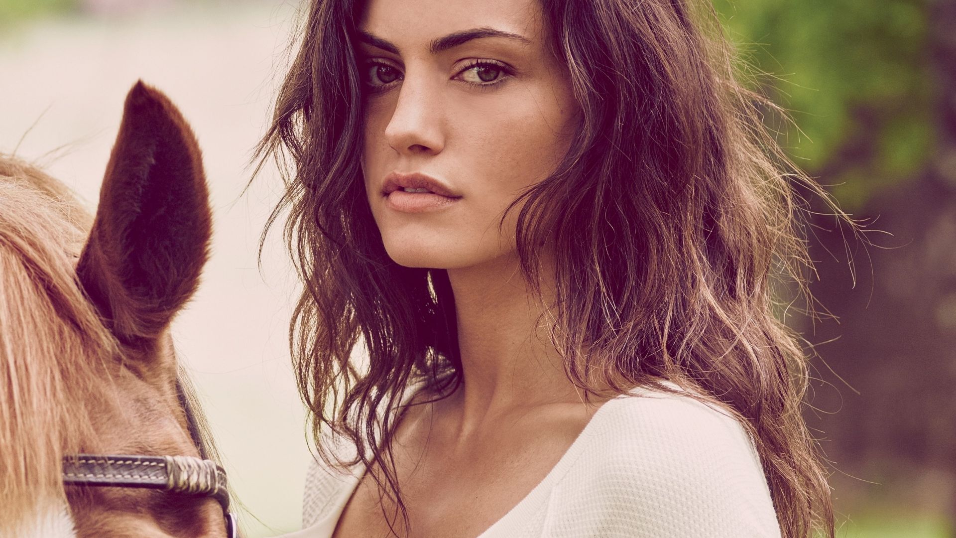 New Phoebe Tonkin Wallpapers