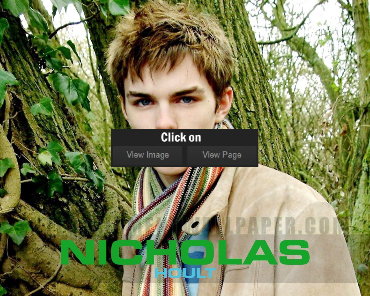 Nicholas Hoult Wallpapers