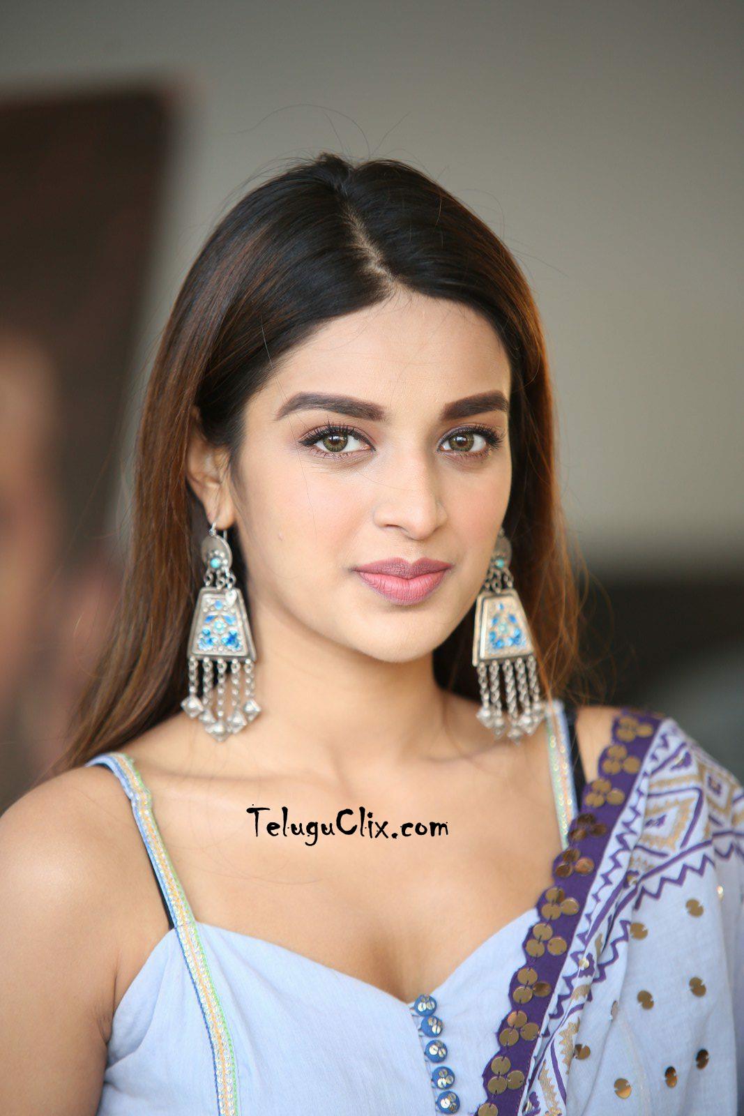 Nidhhi Agerwal Wallpapers