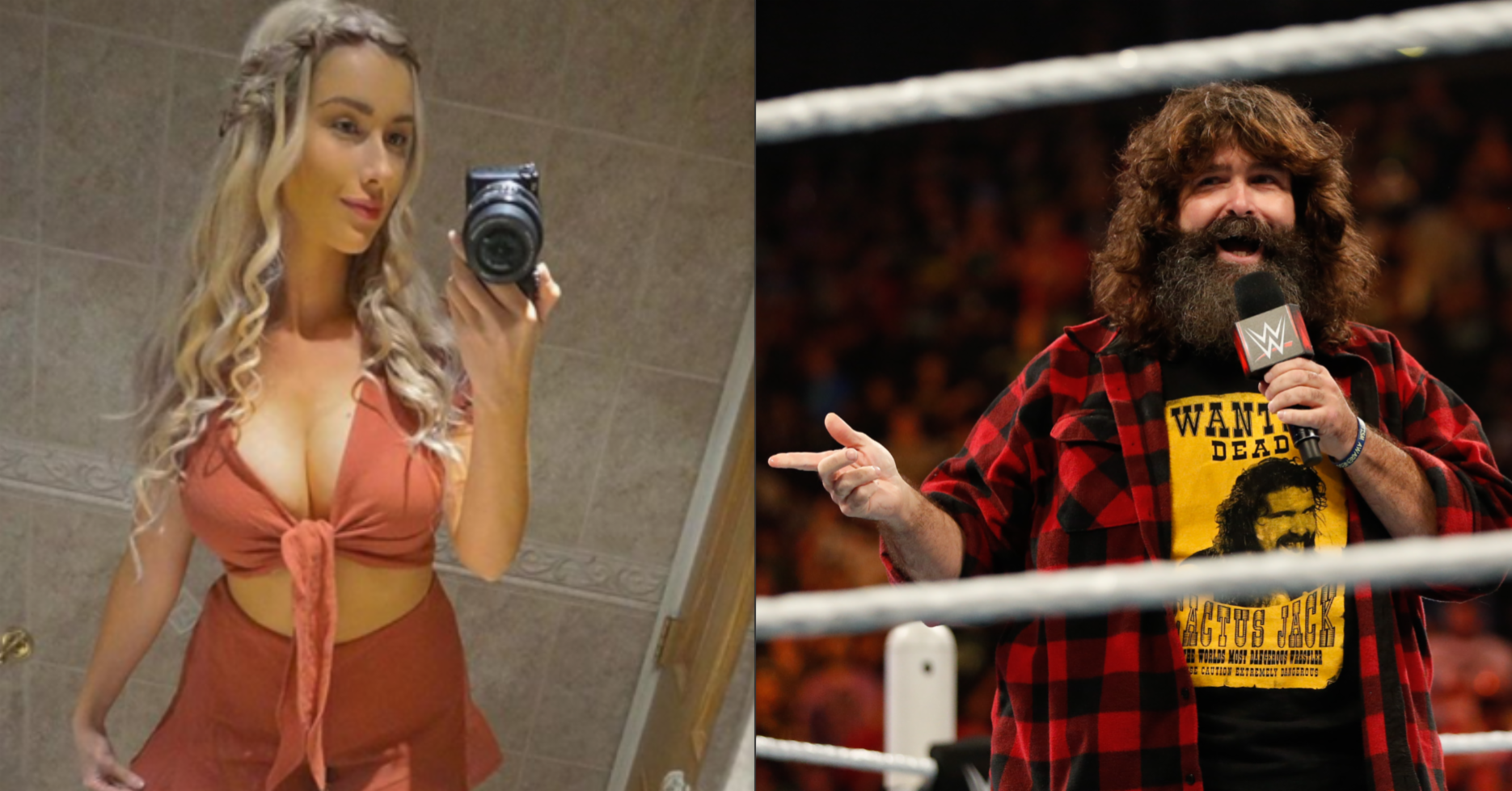 Noelle Foley Wallpapers