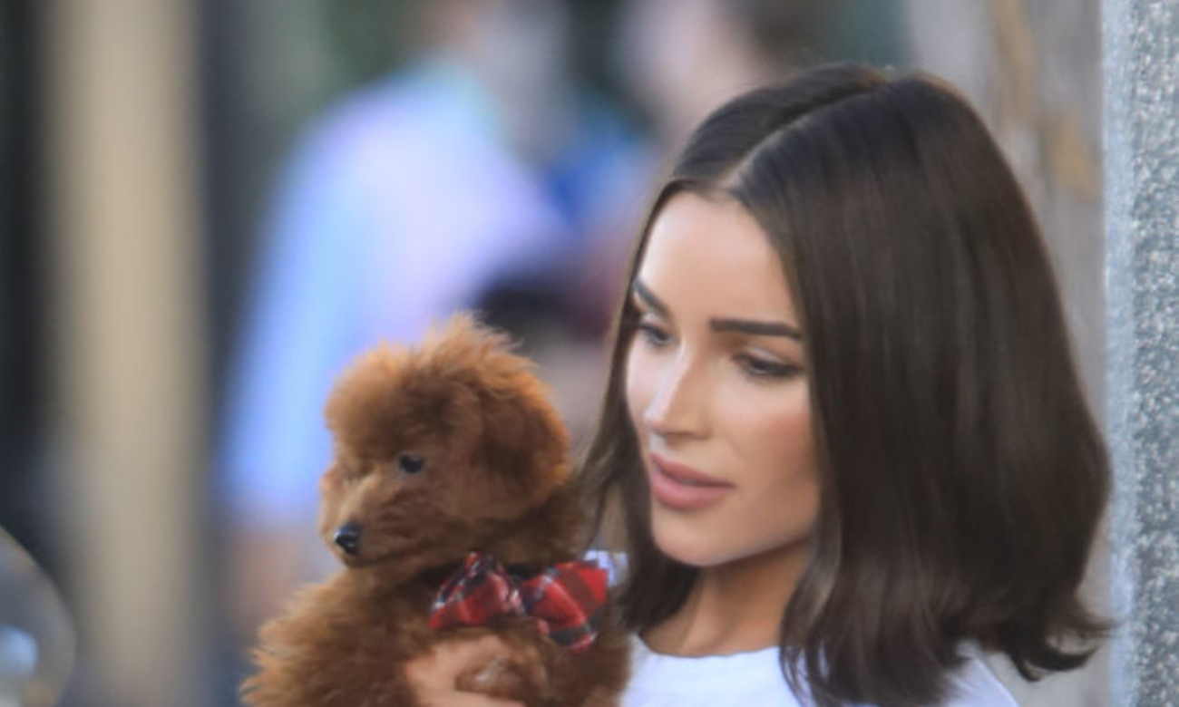 Olivia Culpo New 2020 Wallpapers