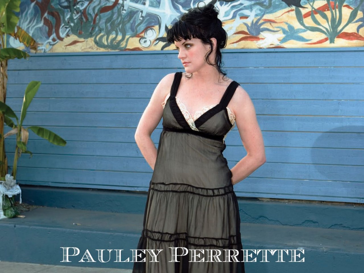 Pauley Perrette Wallpapers