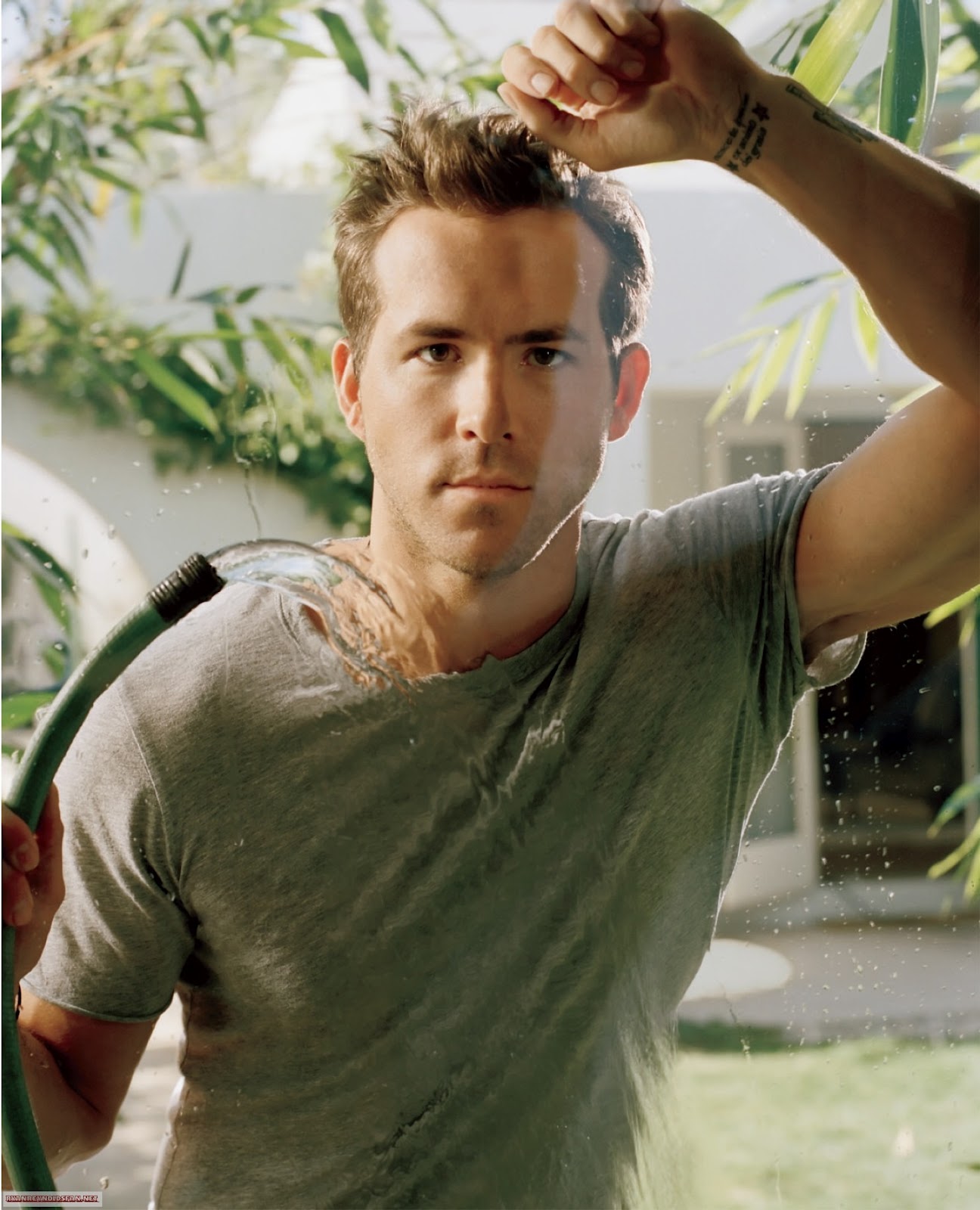 Ryan Reynolds Portrait Wallpapers