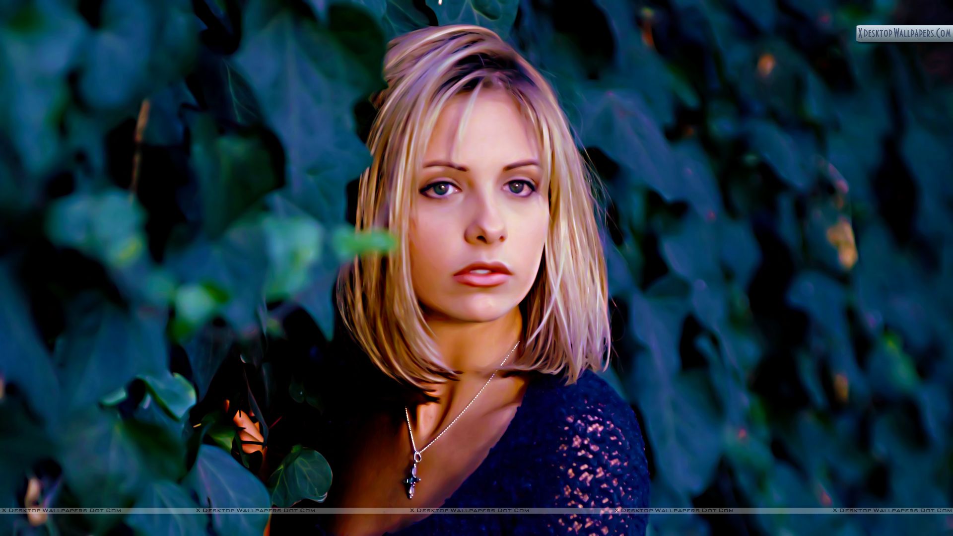 Sarah Michelle Gellar Wallpapers