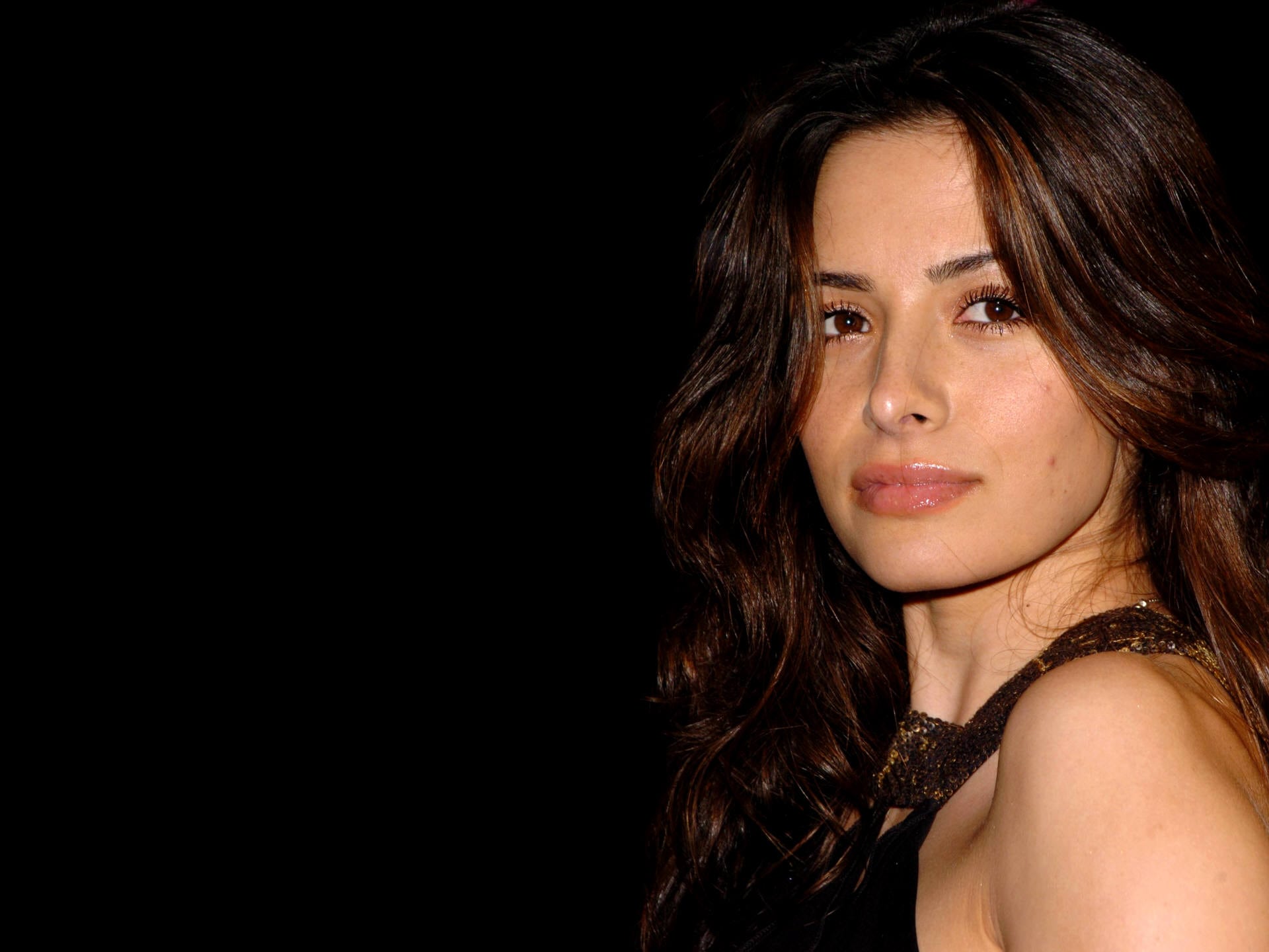 Sarah Shahi Wallpapers