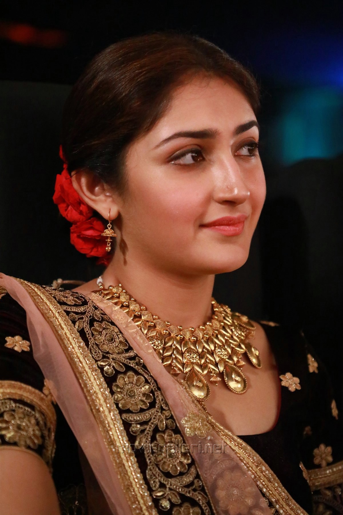 Sayesha Saigal Wallpapers