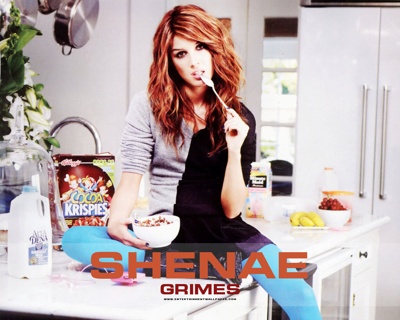 Shenae Grimes Wallpapers