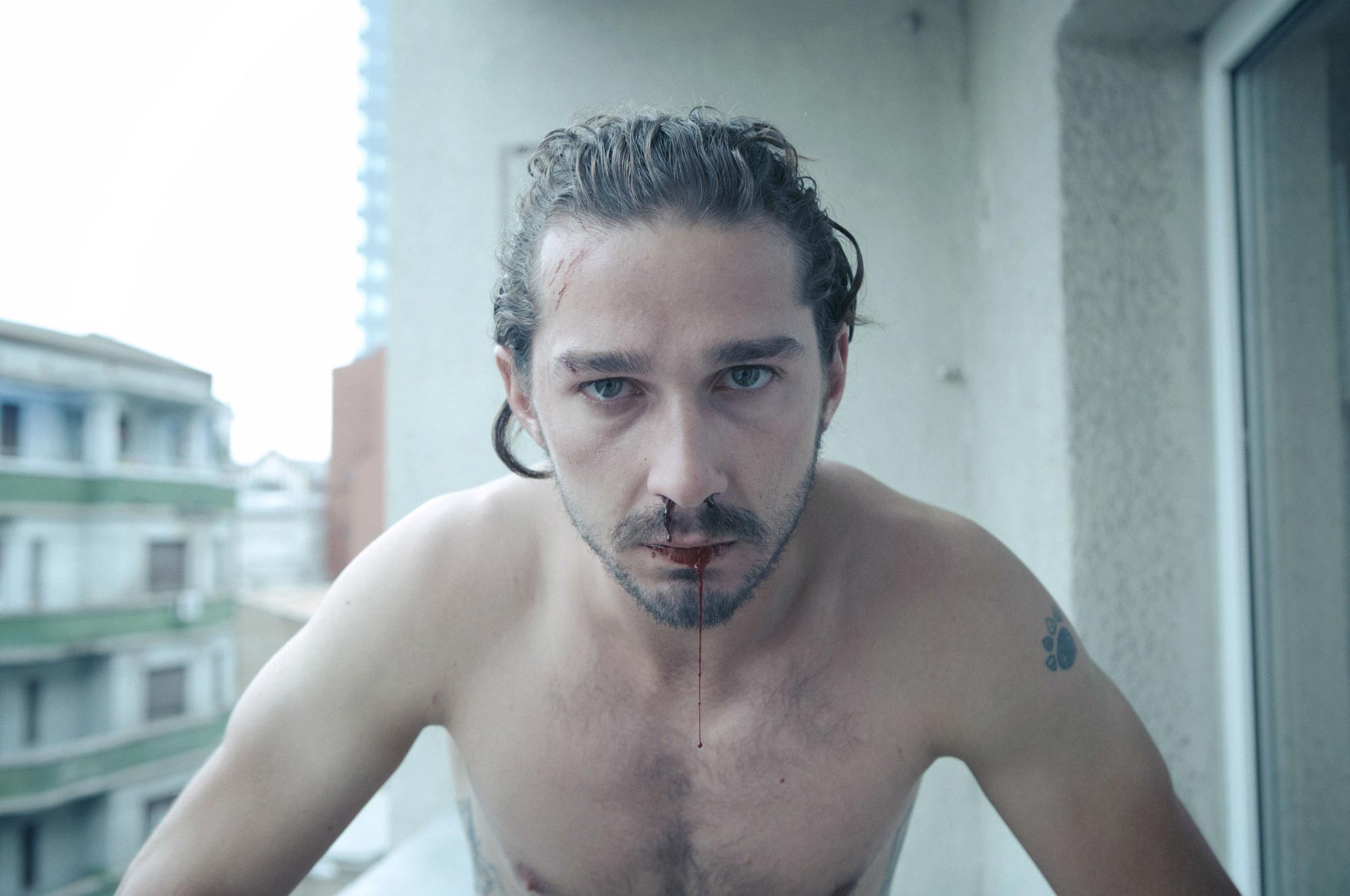 Shia Labeouf Wallpapers