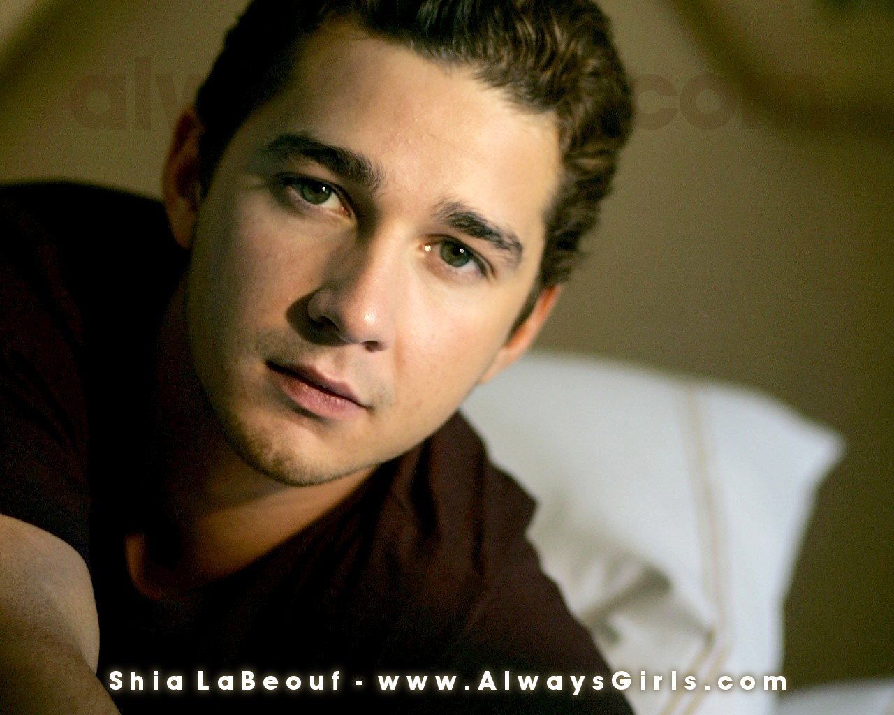 Shia Labeouf Wallpapers