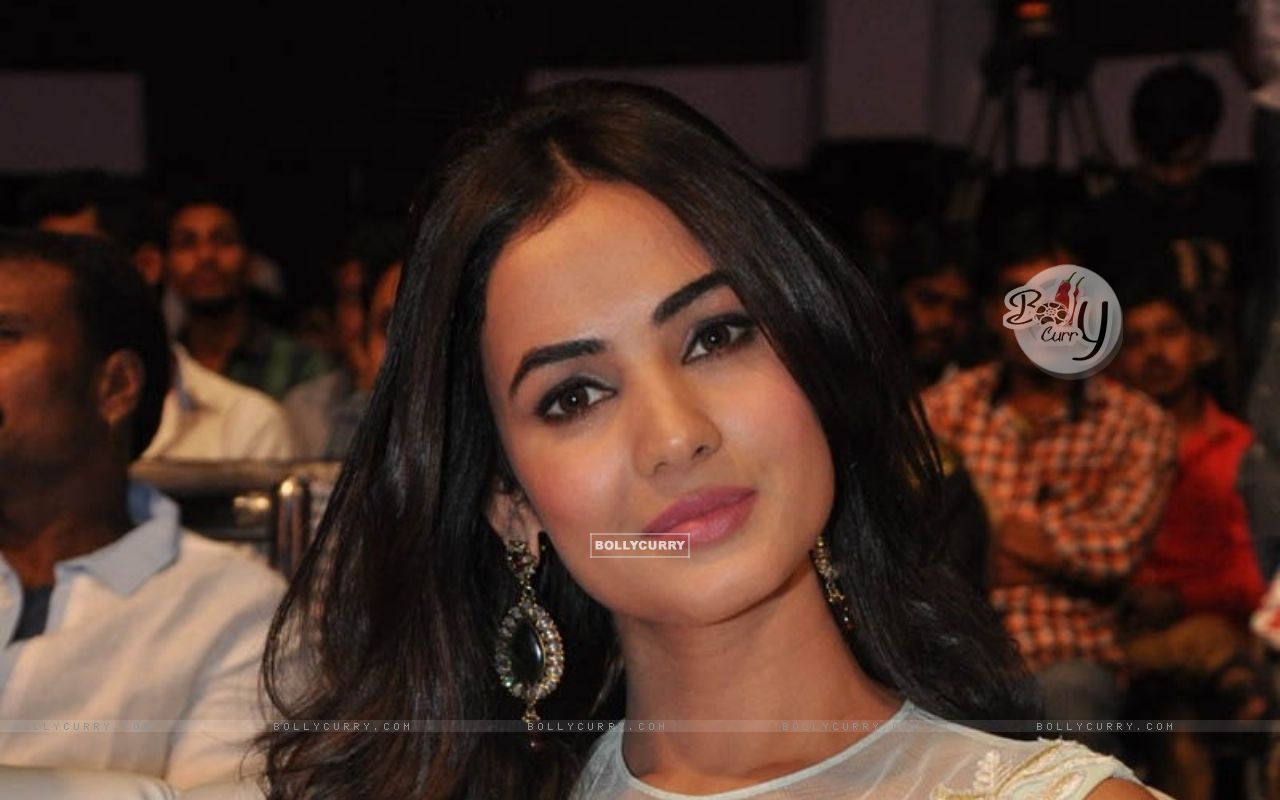 Sonal Chauhan Wallpapers