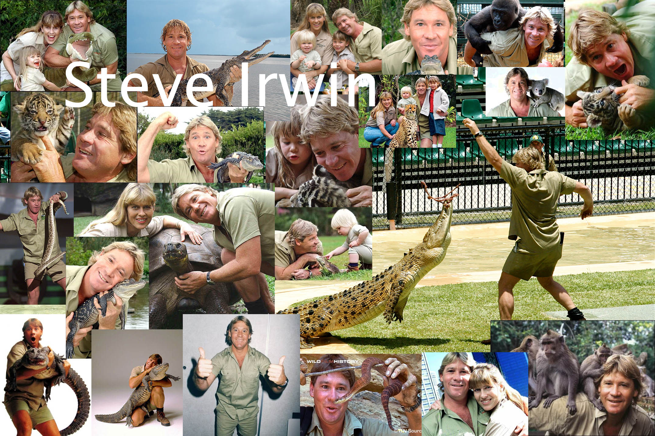 Steve Irwin Wallpapers