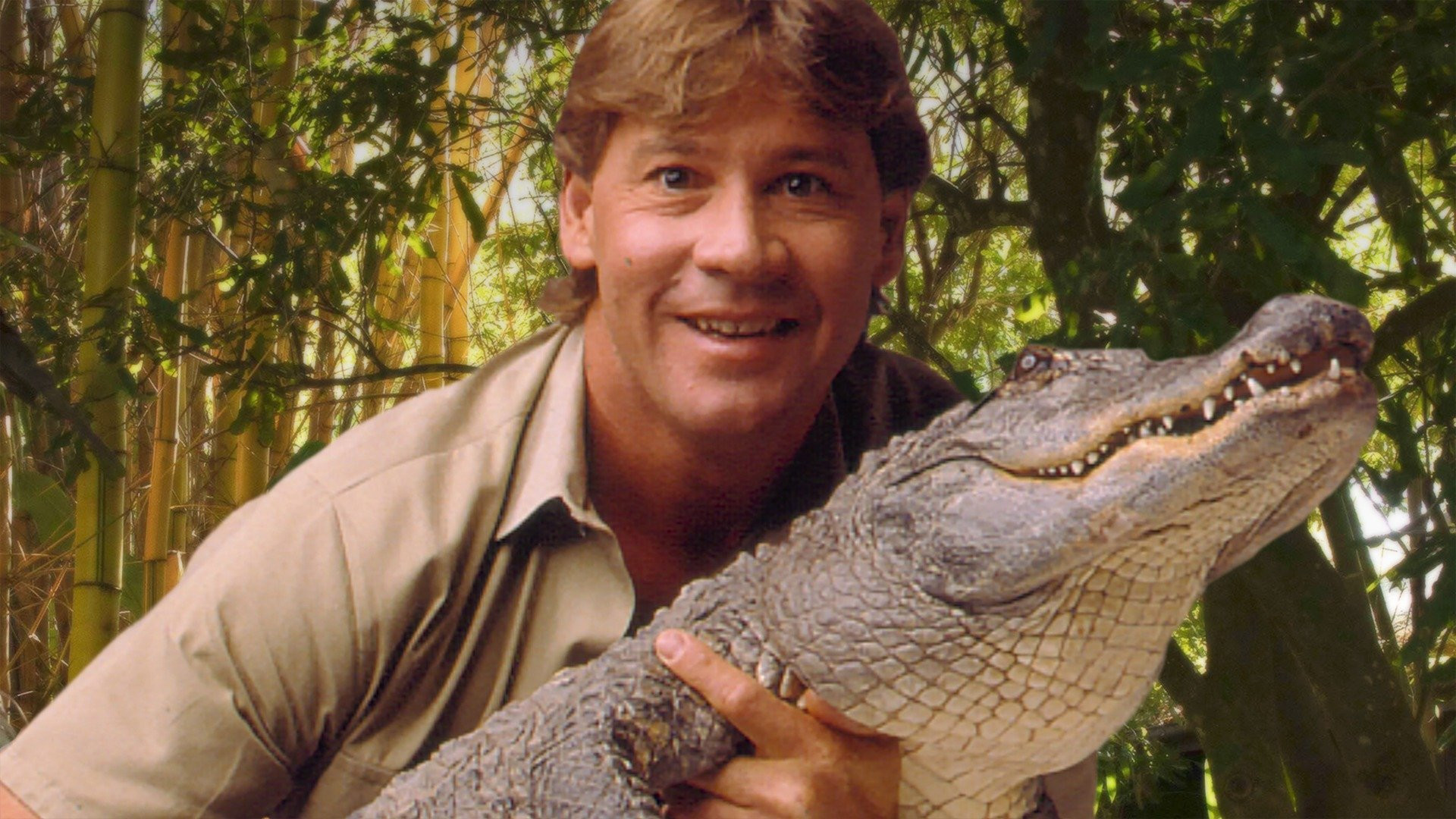 Steve Irwin Wallpapers